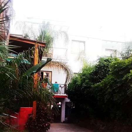 Milounapa * Ayía Nápa